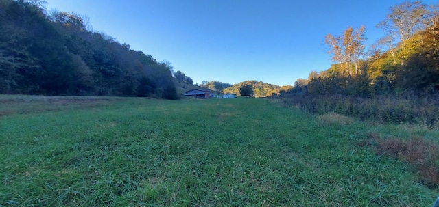 1103 Wartrace Hwy, Pleasant Shade, TN 37145 - photo 21