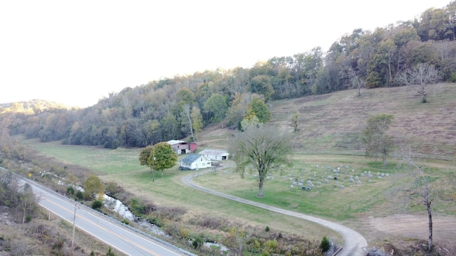 1103 Wartrace Hwy, Pleasant Shade, TN 37145 - photo 27