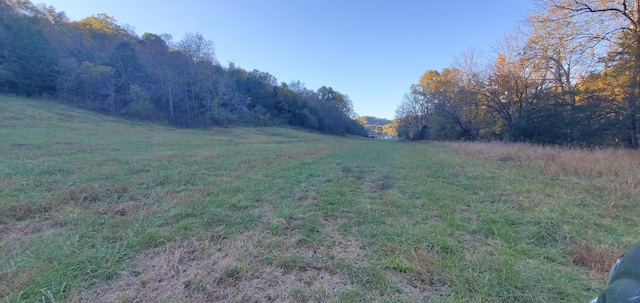 1103 Wartrace Hwy, Pleasant Shade, TN 37145 - photo 20