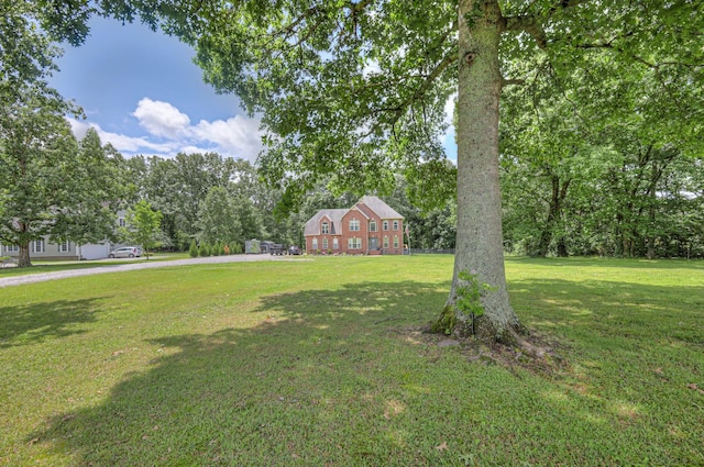 10883 Panther Creek Rd, Christiana, TN 37037 - photo 15