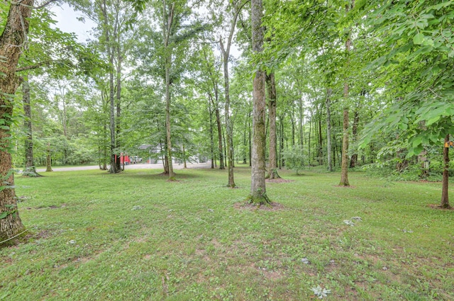 10883 Panther Creek Rd, Christiana, TN 37037 - photo 74