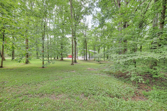 10883 Panther Creek Rd, Christiana, TN 37037 - photo 73
