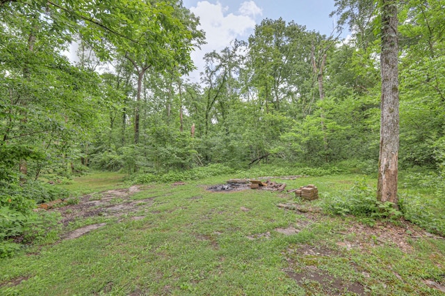 10883 Panther Creek Rd, Christiana, TN 37037 - photo 24