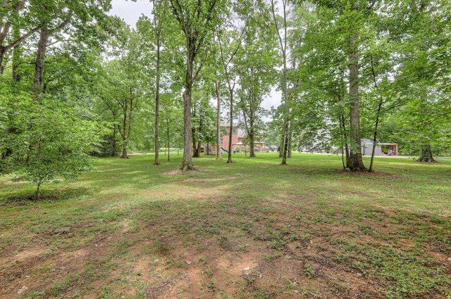 10883 Panther Creek Rd, Christiana, TN 37037 - photo 27