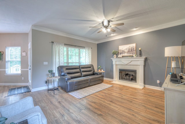 10883 Panther Creek Rd, Christiana, TN 37037 - photo 37