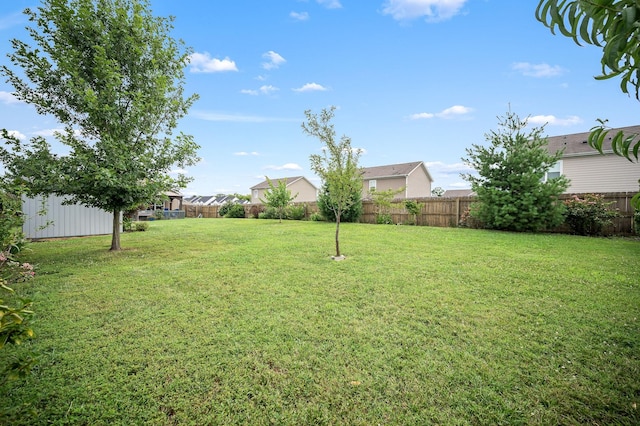 3323 Dizzy Dean Dr, Murfreesboro, TN 37128 - photo 31
