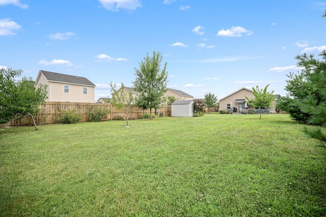 3323 Dizzy Dean Dr, Murfreesboro, TN 37128 - photo 35