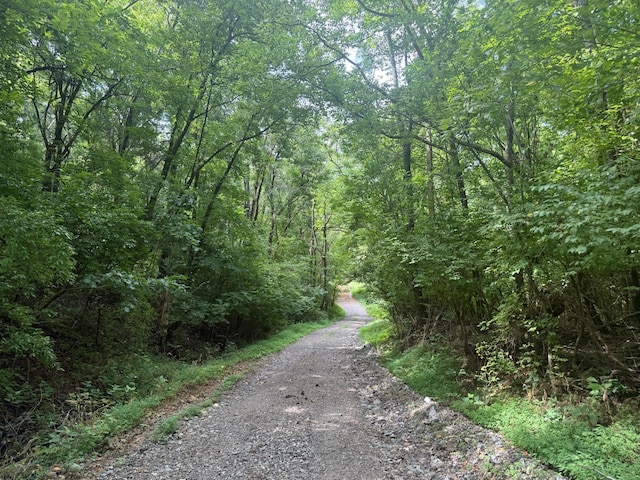 0 Tom Sharp Rd, Columbia, TN 38401 - photo 4