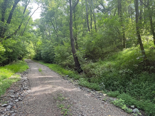 0 Tom Sharp Rd, Columbia, TN 38401 - photo 5