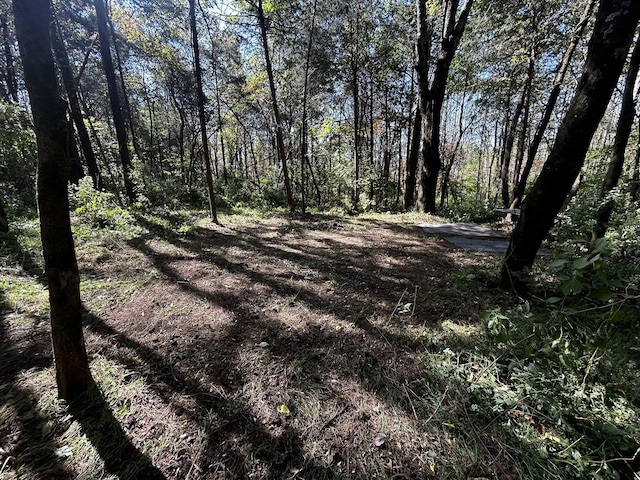 0 Tom Sharp Rd, Columbia, TN 38401 - photo 2