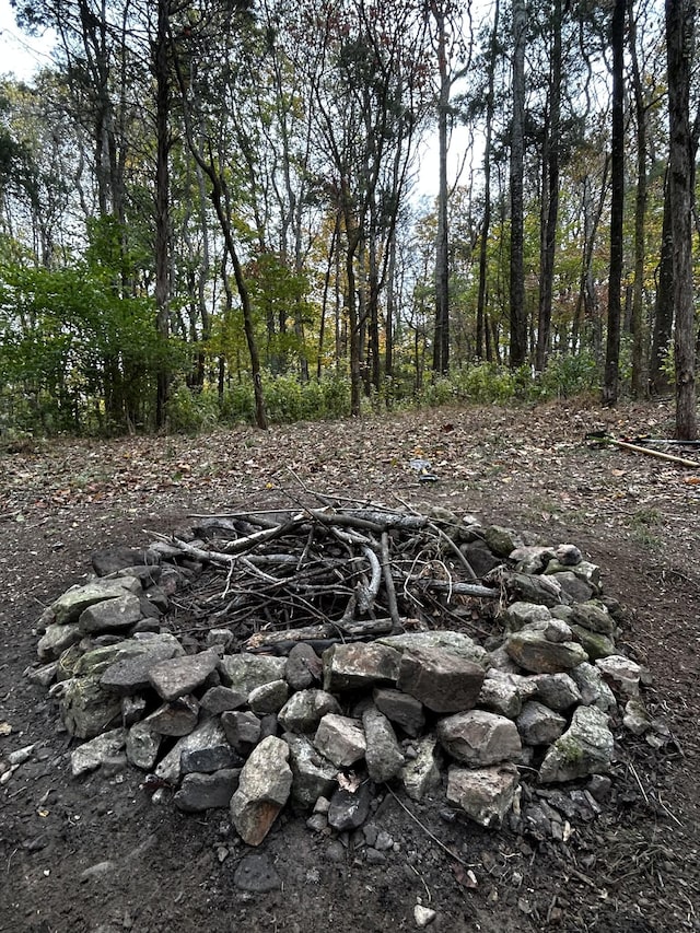 0 Tom Sharp Rd, Columbia, TN 38401 - photo 1