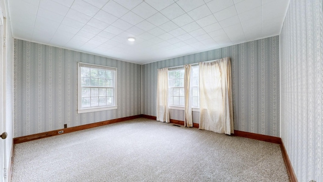 222 Hatchett Hollow Rd, Cornersville, TN 37047 - photo 21