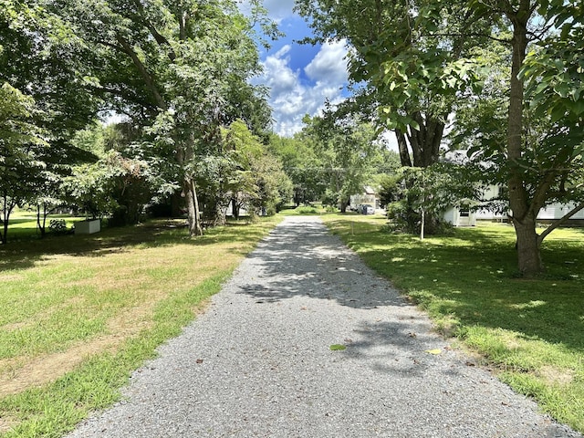 2 Hatchett Hollow Rd, Cornersville, TN 37047 - photo 3