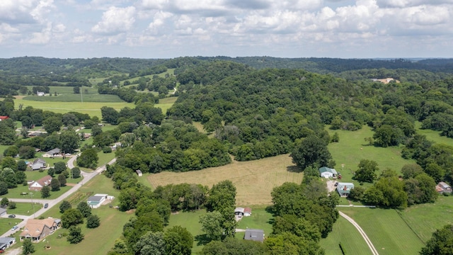 2 Hatchett Hollow Rd, Cornersville, TN 37047 - photo 13