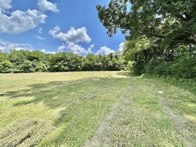 2 Hatchett Hollow Rd, Cornersville, TN 37047 - photo 10