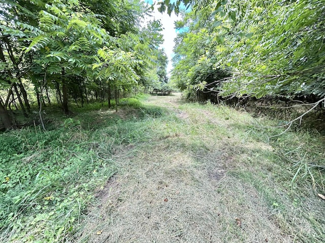 2 Hatchett Hollow Rd, Cornersville, TN 37047 - photo 5