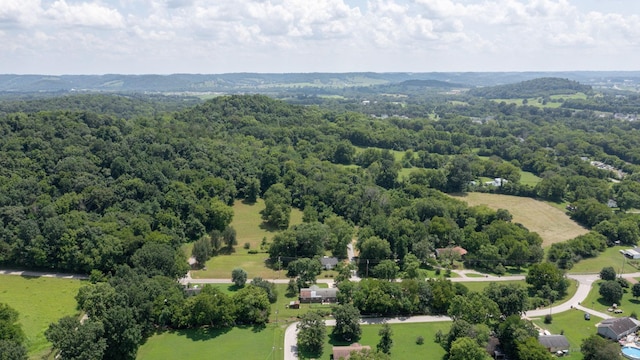 2 Hatchett Hollow Rd, Cornersville, TN 37047 - photo 16