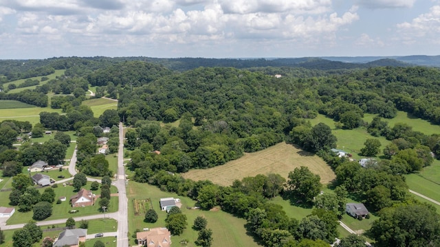 2 Hatchett Hollow Rd, Cornersville, TN 37047 - photo 14