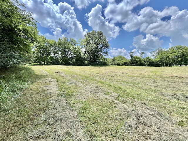 2 Hatchett Hollow Rd, Cornersville, TN 37047 - photo 8