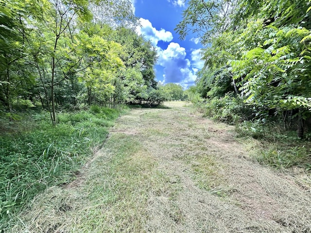 2 Hatchett Hollow Rd, Cornersville, TN 37047 - photo 6