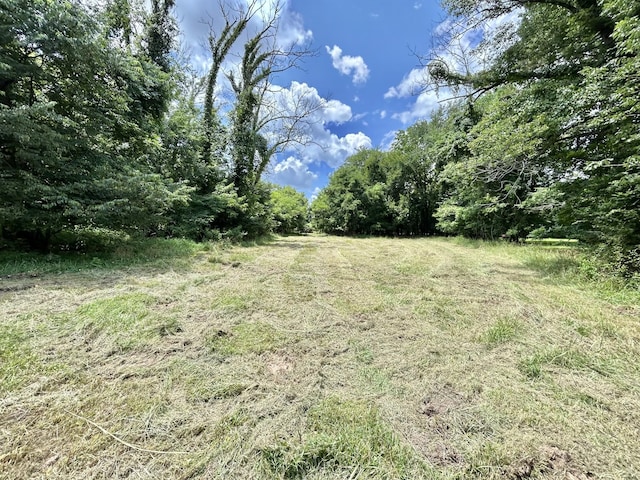 2 Hatchett Hollow Rd, Cornersville, TN 37047 - photo 4