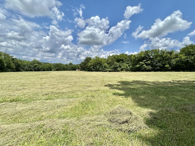 2 Hatchett Hollow Rd, Cornersville, TN 37047 - photo 11