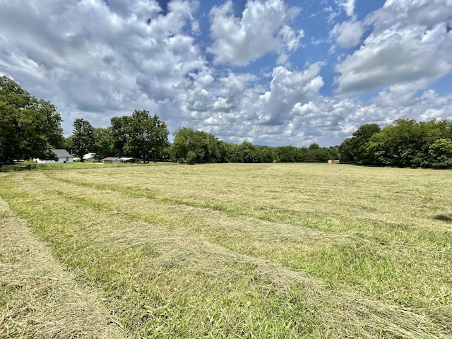 2 Hatchett Hollow Rd, Cornersville, TN 37047 - photo 12