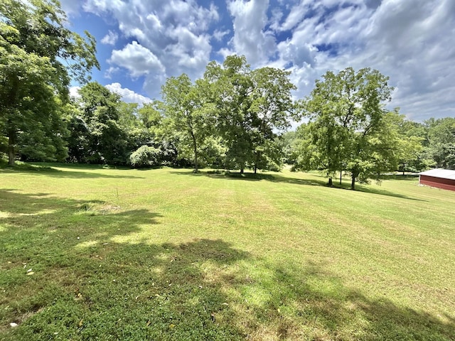 3 Hatchett Hollow Rd, Cornersville, TN 37047 - photo 17