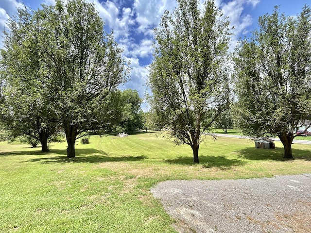 3 Hatchett Hollow Rd, Cornersville, TN 37047 - photo 11