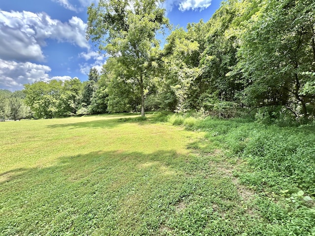 3 Hatchett Hollow Rd, Cornersville, TN 37047 - photo 21