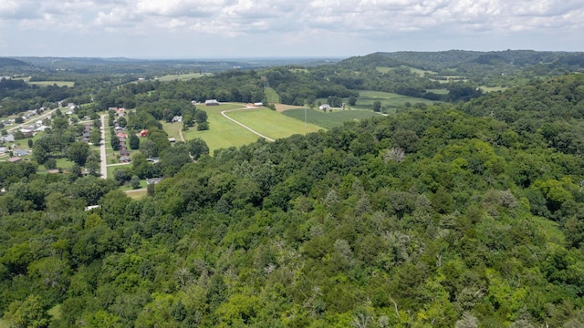 3 Hatchett Hollow Rd, Cornersville, TN 37047 - photo 35