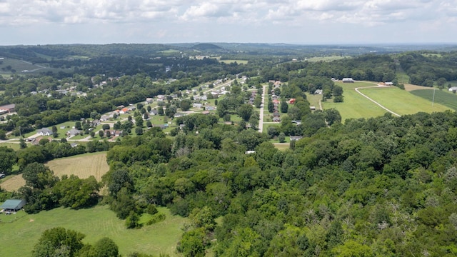 3 Hatchett Hollow Rd, Cornersville, TN 37047 - photo 34