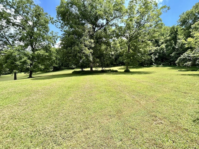 3 Hatchett Hollow Rd, Cornersville, TN 37047 - photo 26
