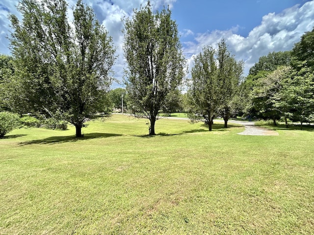 3 Hatchett Hollow Rd, Cornersville, TN 37047 - photo 14