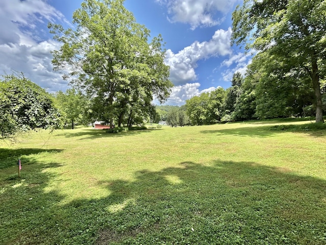 3 Hatchett Hollow Rd, Cornersville, TN 37047 - photo 22