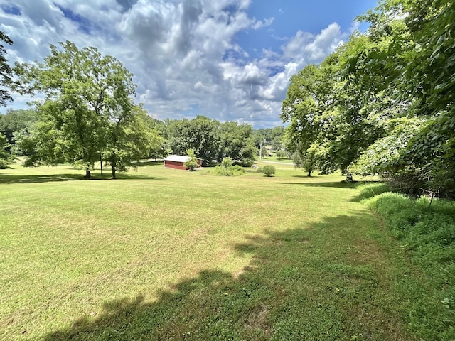 3 Hatchett Hollow Rd, Cornersville, TN 37047 - photo 16