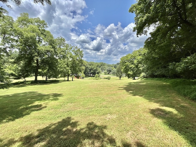 3 Hatchett Hollow Rd, Cornersville, TN 37047 - photo 19