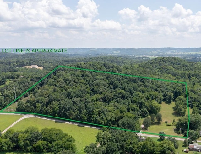 3 Hatchett Hollow Rd, Cornersville, TN 37047 - photo 36