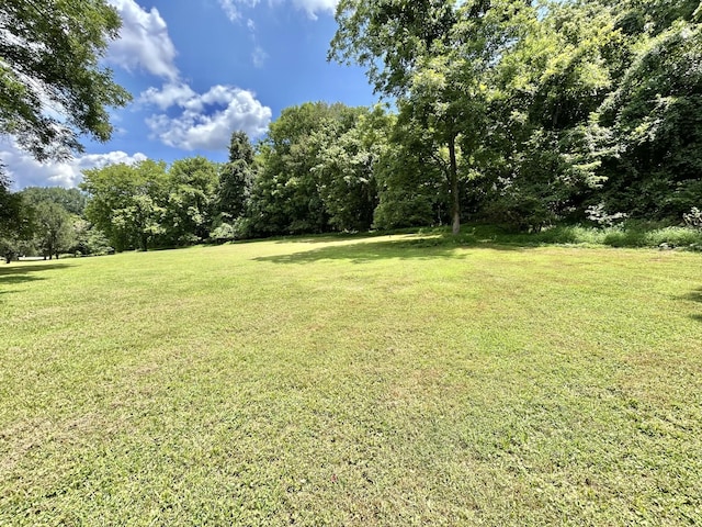3 Hatchett Hollow Rd, Cornersville, TN 37047 - photo 23