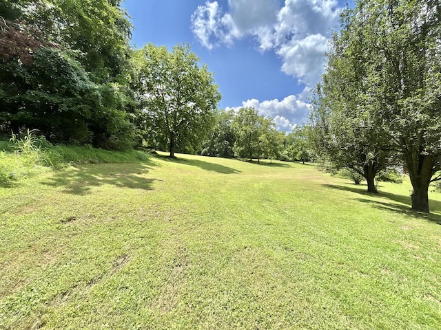 3 Hatchett Hollow Rd, Cornersville, TN 37047 - photo 12