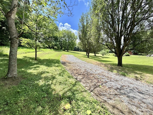 3 Hatchett Hollow Rd, Cornersville, TN 37047 - photo 1