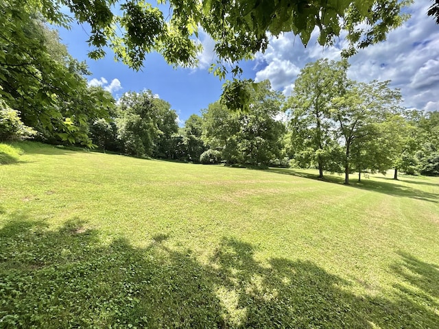 3 Hatchett Hollow Rd, Cornersville, TN 37047 - photo 15