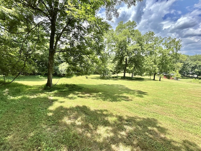 3 Hatchett Hollow Rd, Cornersville, TN 37047 - photo 18