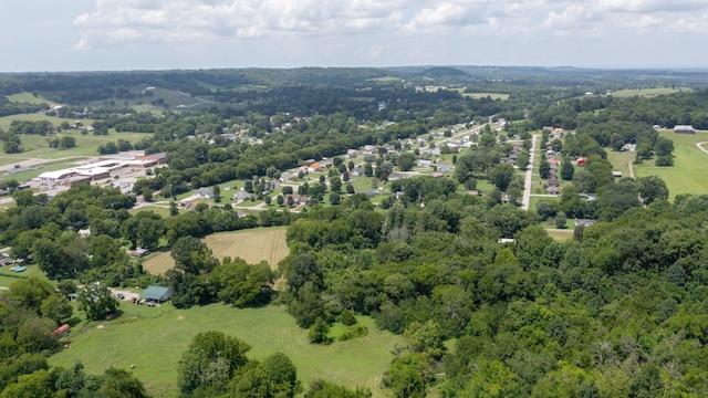 3 Hatchett Hollow Rd, Cornersville, TN 37047 - photo 33