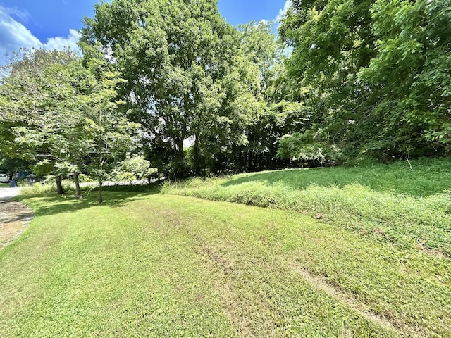3 Hatchett Hollow Rd, Cornersville, TN 37047 - photo 13