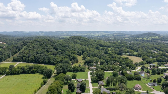 3 Hatchett Hollow Rd, Cornersville, TN 37047 - photo 28