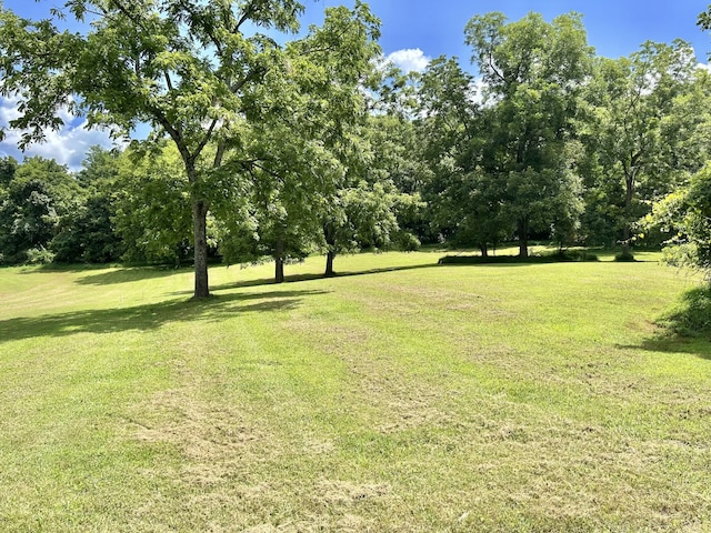 3 Hatchett Hollow Rd, Cornersville, TN 37047 - photo 27