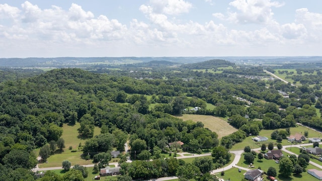 3 Hatchett Hollow Rd, Cornersville, TN 37047 - photo 29