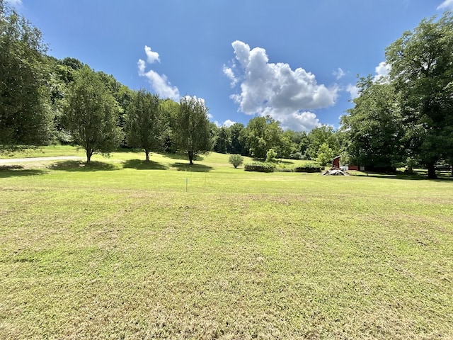 3 Hatchett Hollow Rd, Cornersville, TN 37047 - photo 8
