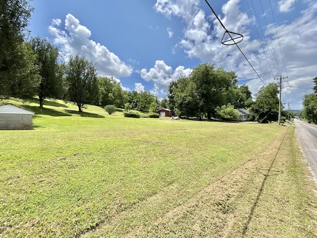 3 Hatchett Hollow Rd, Cornersville, TN 37047 - photo 3